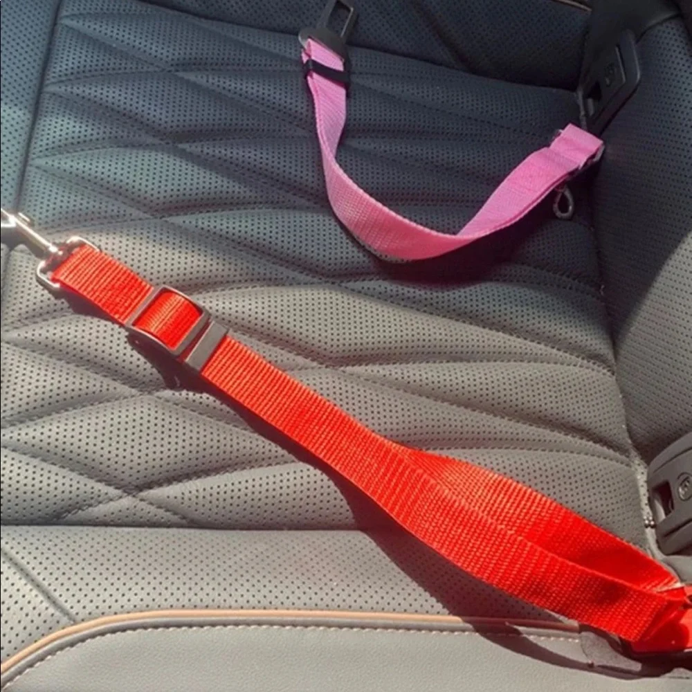 PET SEATBELT
